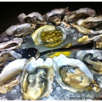 Are Oysters Male or Female? 